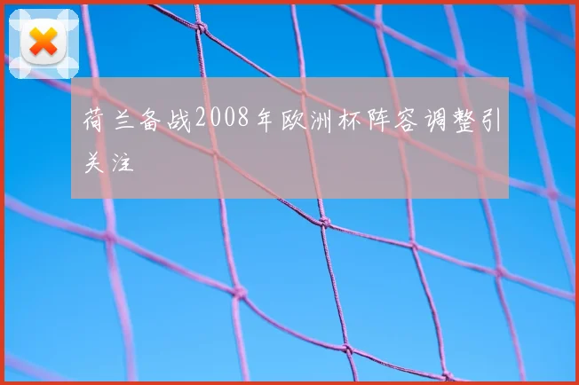 荷兰备战2008年欧洲杯阵容调整引关注
