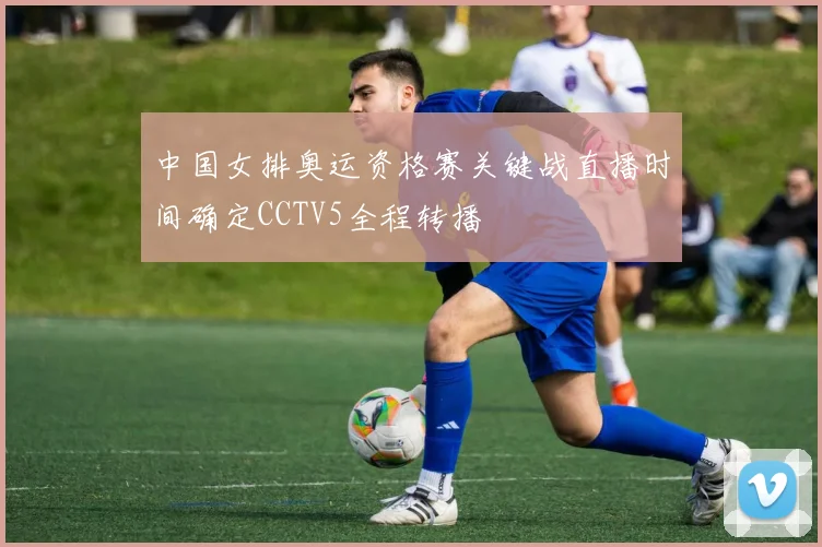 中国女排奥运资格赛关键战直播时间确定CCTV5全程转播