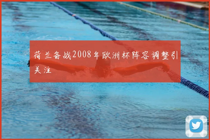 荷兰备战2008年欧洲杯阵容调整引关注